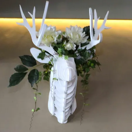 Edelweiss מלון 3*